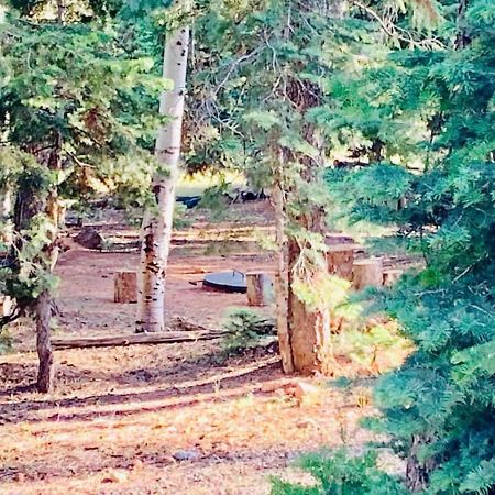Adventure Awaits 3King Bed,2Bath Log Cabin In Heart Of Duck Creek Village! Kültér fotó