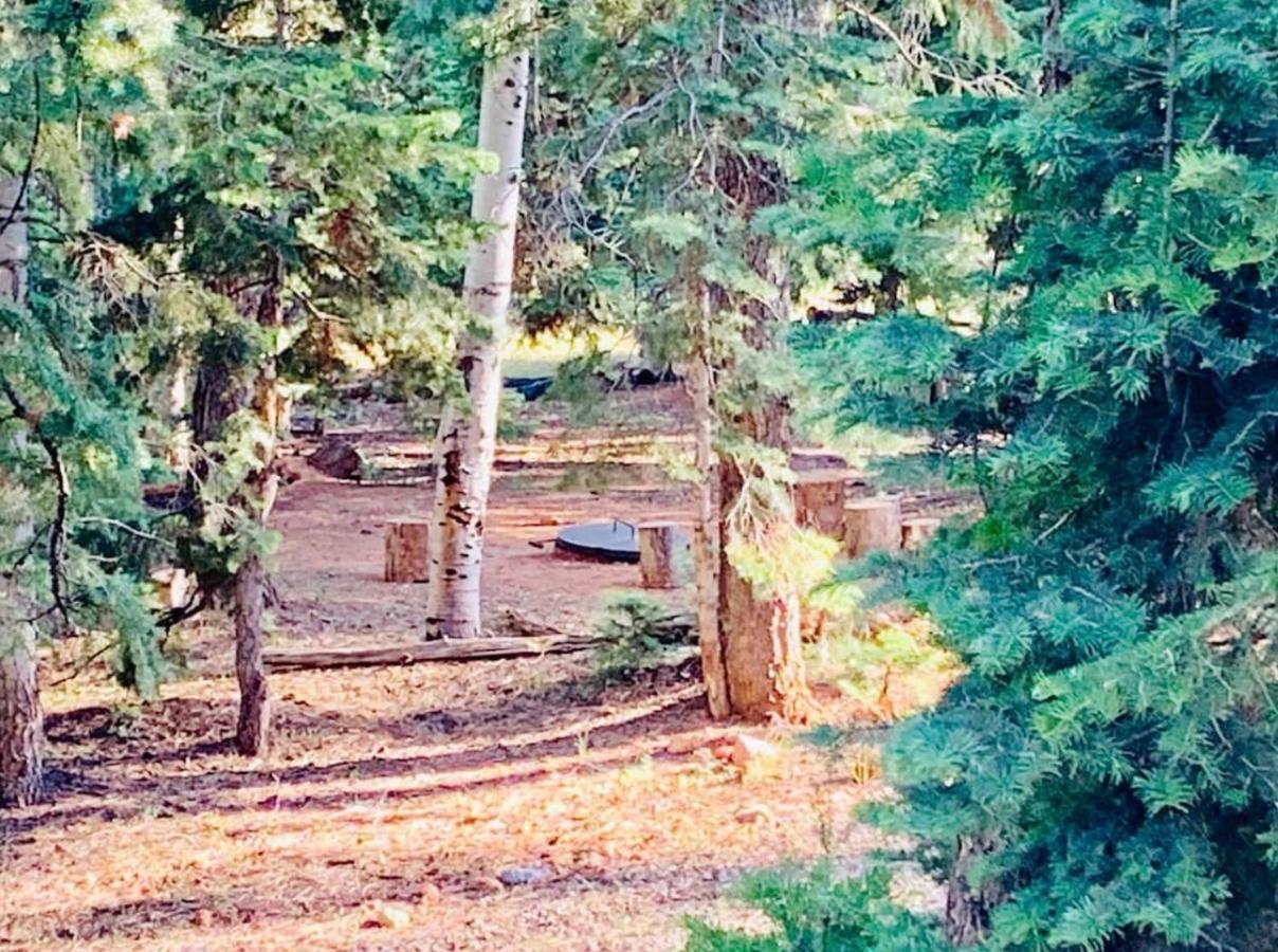Adventure Awaits 3King Bed,2Bath Log Cabin In Heart Of Duck Creek Village! Kültér fotó