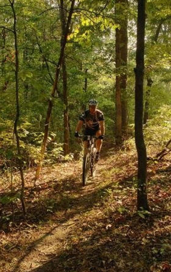 Adventure Awaits 3King Bed,2Bath Log Cabin In Heart Of Duck Creek Village! Kültér fotó